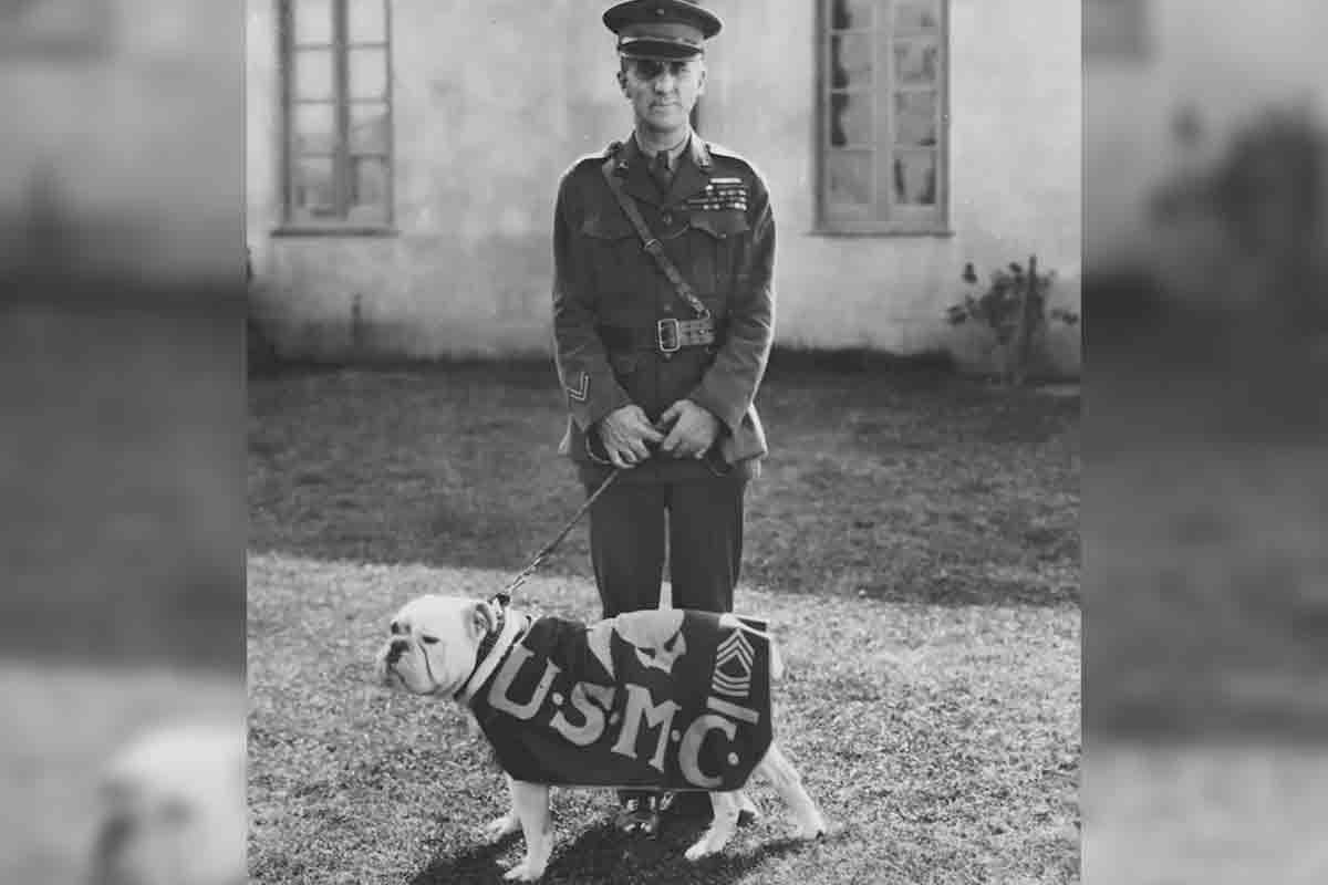 mil smedly butler Jiggs 1200.jpg